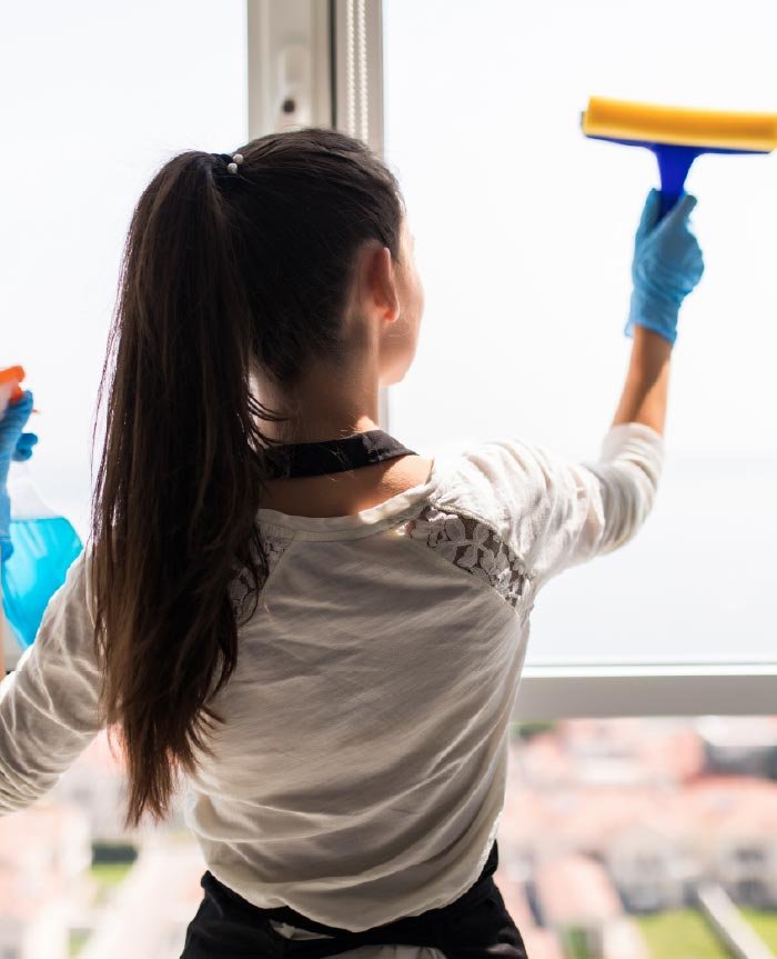 Windows Cleaning